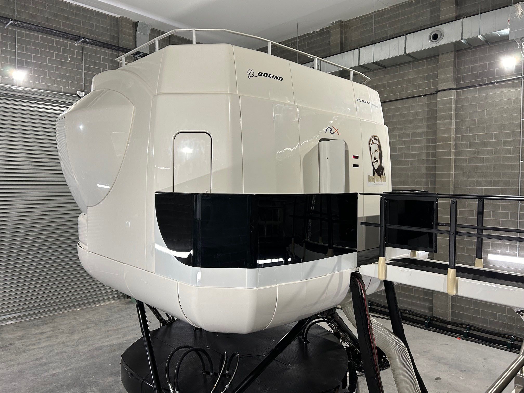 Rex Airlines – Mascot